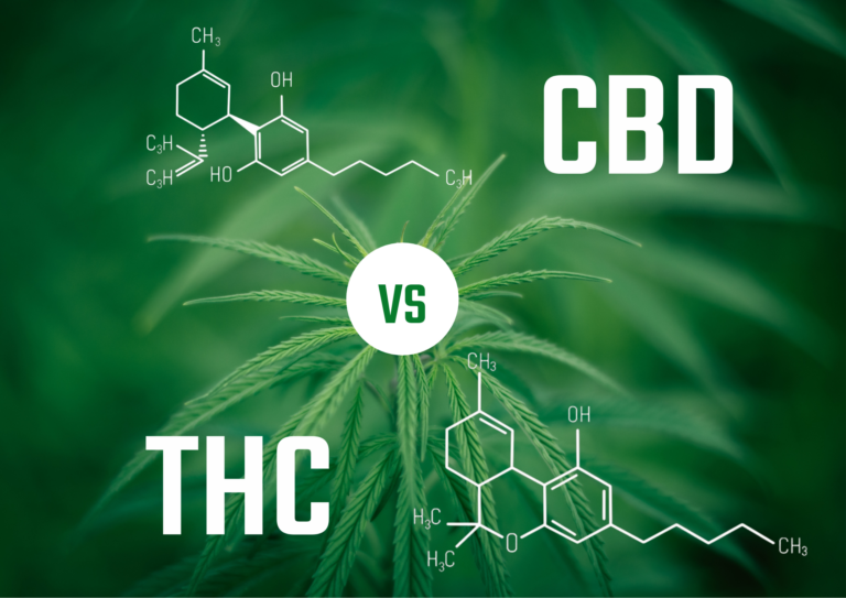 CBD vs THC
