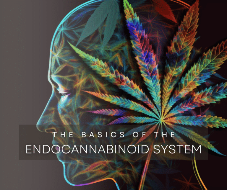 The Basics of the ECS