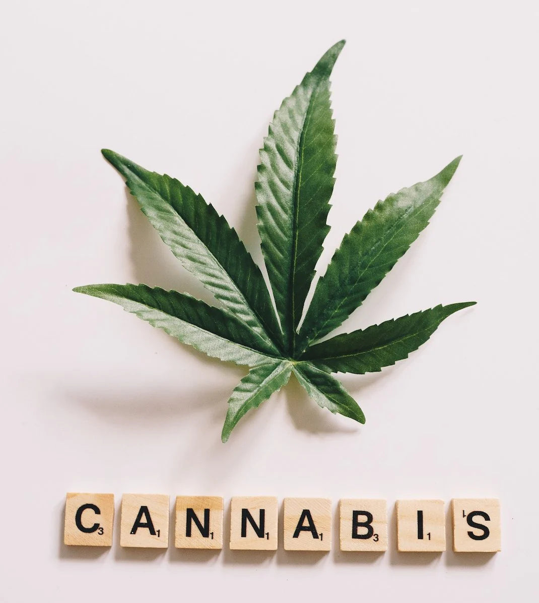 Should I Chew Or Suck My Gummies?