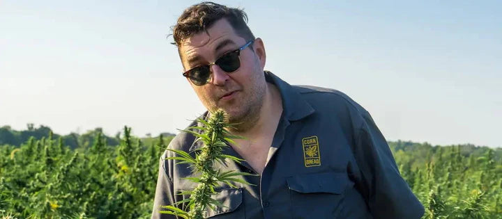 How Does CBD Oil Make You Feel?