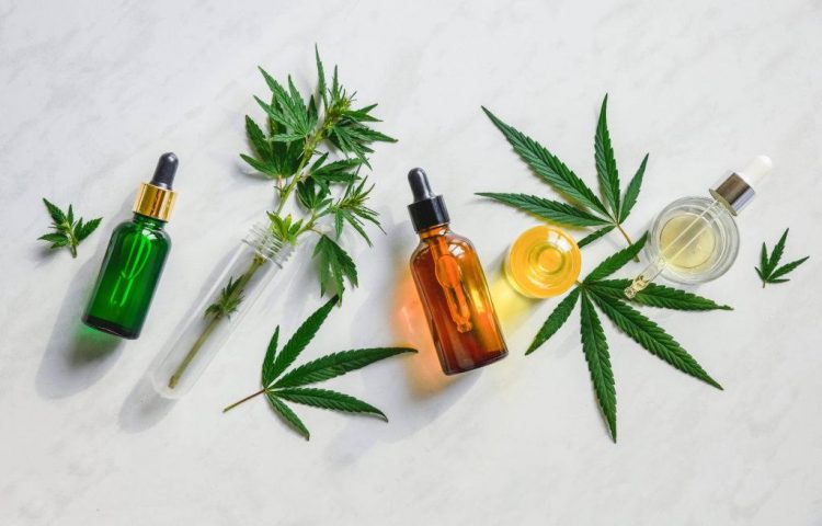 Why Should You Use CBD?