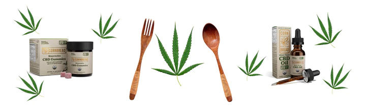 Does CBD Make You Hungry?
