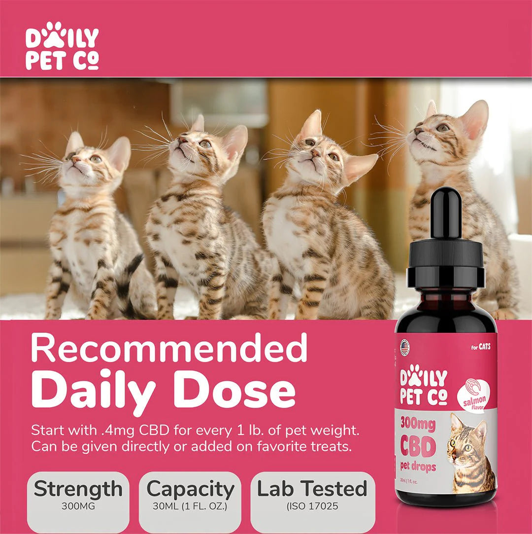 Daily Pet Co, Full Spectrum, CBD Pet Drops for Cats, Salmon Flavored, 1oz, 300mg CBD