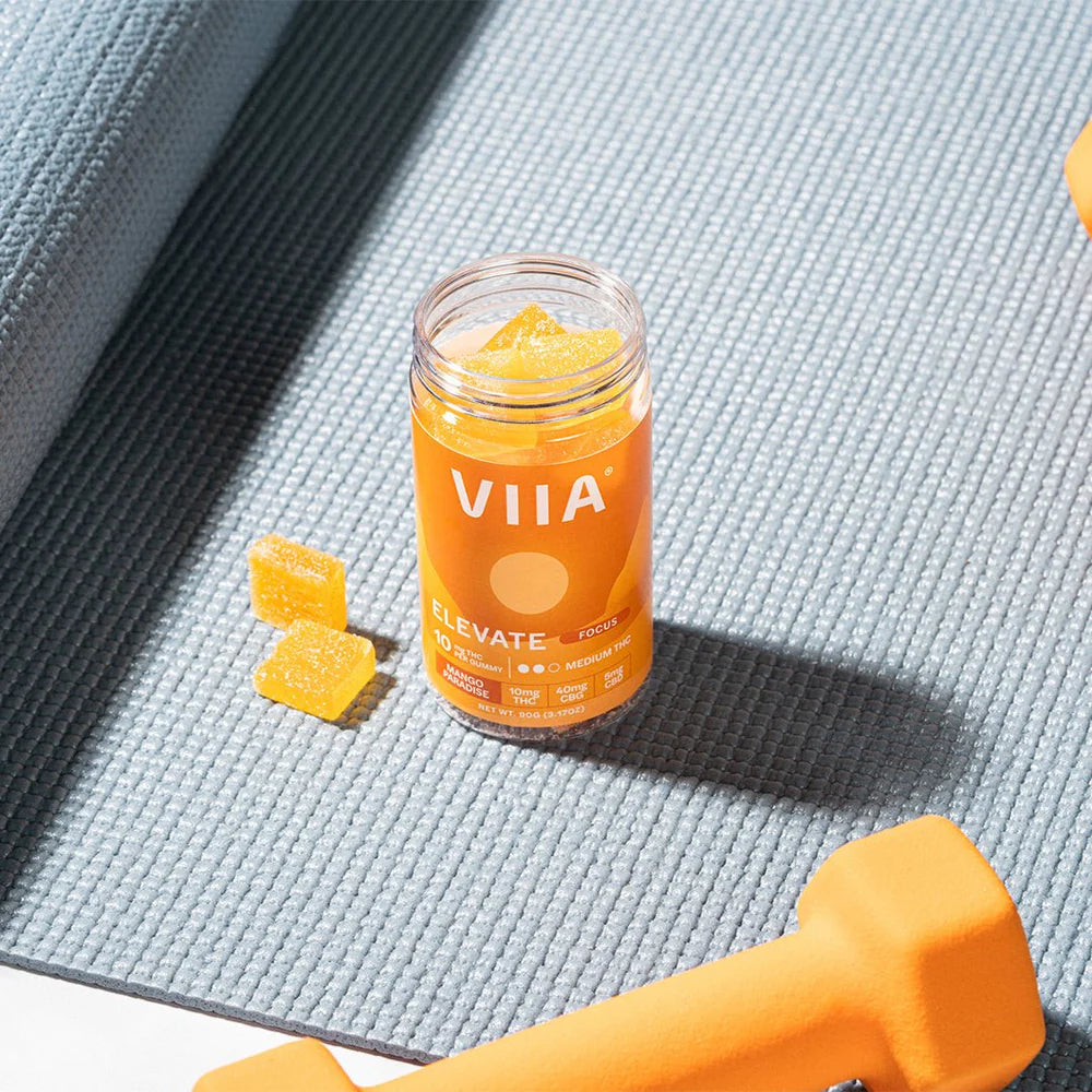 Elevate Focus Gummies