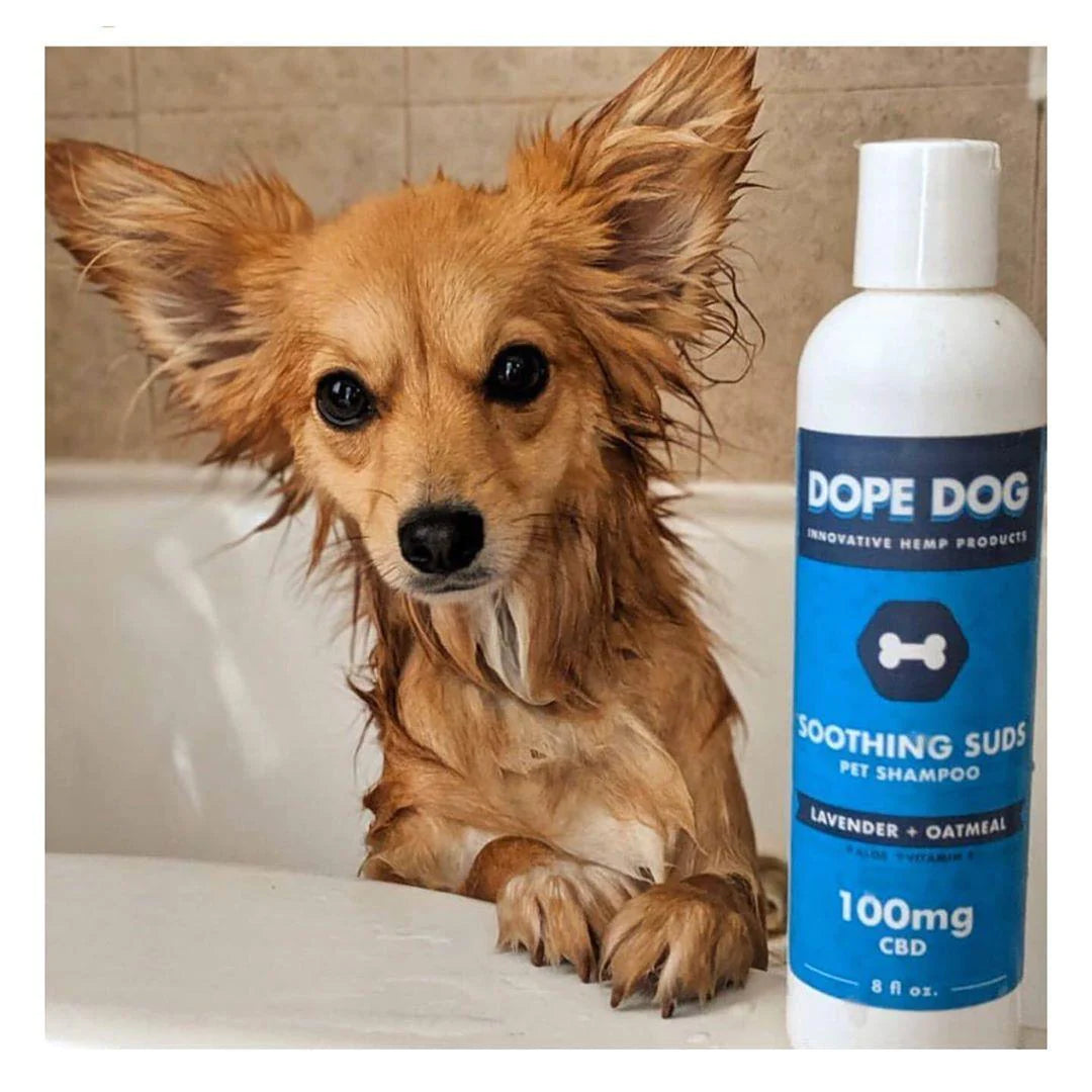 Dope Dog, Soothing Subs CBD Pet Shampoo, Lavender & Oatmeal, 8oz, 100mg CBD
